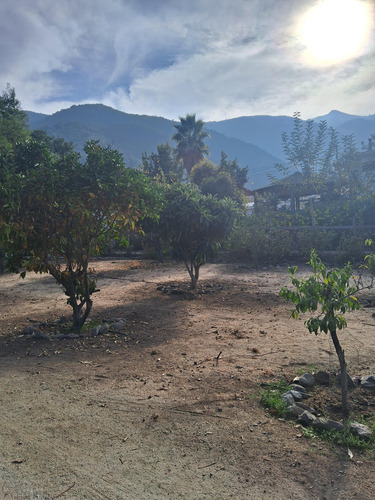 Se Arrienda Casa Con Patio Y Almendros En Producción En Sec