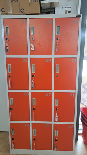 Locker 12 Casilleros Nuevo