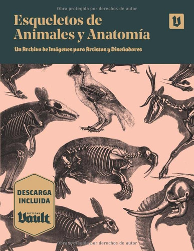 Esqueletos De Animales Y Anatomia: Un Archivo De Imagenes Pa