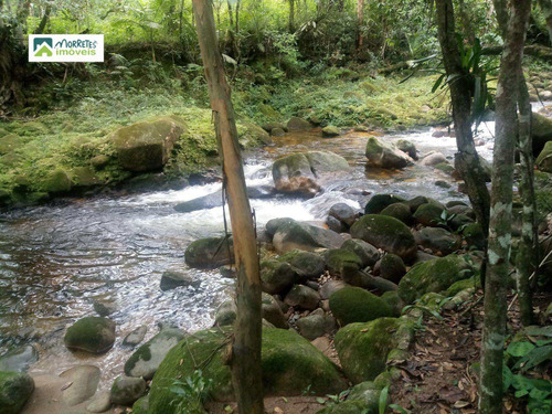 Imagem 28 de 30 de Chacara-para-venda-em-america-de-cima-morretes-pr - 132