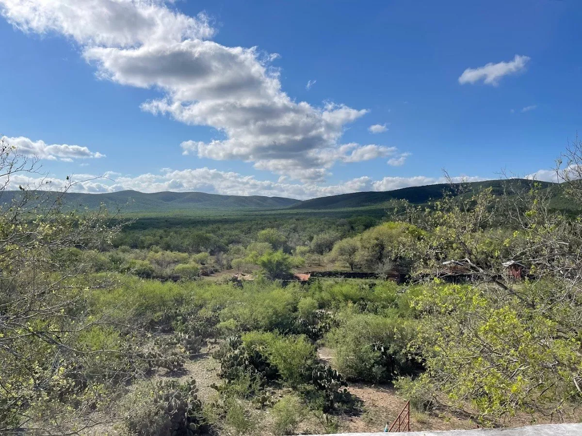 Terreno/mina Roca Caliza Azul Para Construccion 1300 Hectareas En Cruillas Tamaulipas A 200 Km De La Frontera Con Eeuu