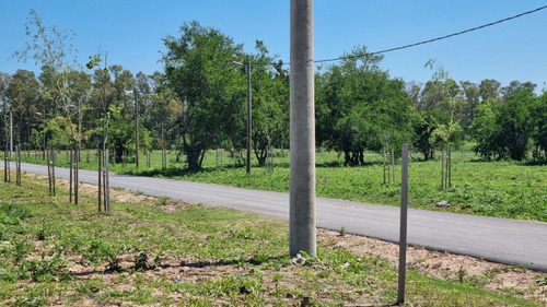 Venta Terreno Longchamps - Lote Barrio La Arbolada