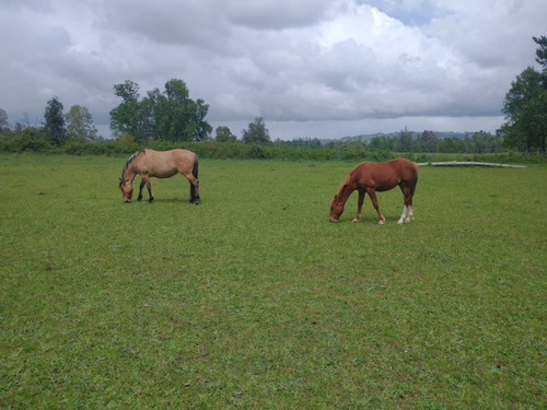 Parcelas Hacienda Santa Paloma