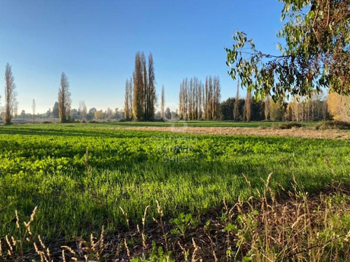 Maravilloso Campo En El Sur De Chile.