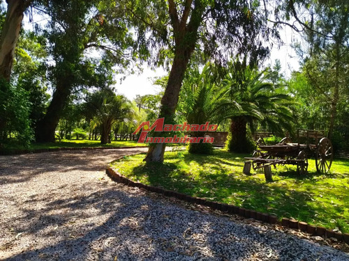 Casa En Venta De 3 Dormitorios En Punta Del Este