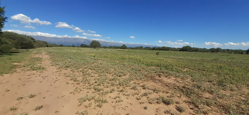 Imagen 6 de 14 de Se Vende Campo En La Paz A Metros De Ruta 148
