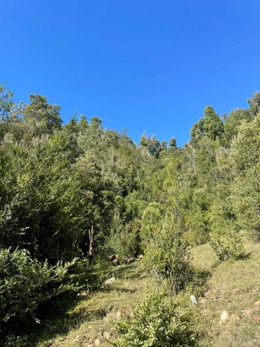 Campo Con Orilla Rio Navegable (67058)