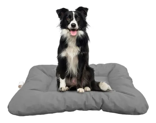 Colchon Perro MercadoLibre