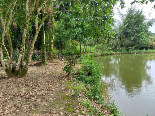 Imagem 2 de 14 de Sítio Completo Com Casa E Bar Lagos Com Peixe