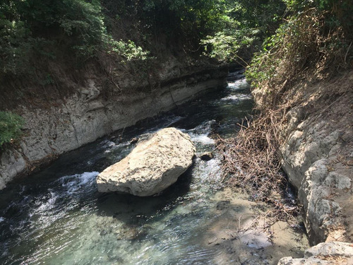Rancho Forestal Y Ecoturístico En Venta En Palenque, Chiapas