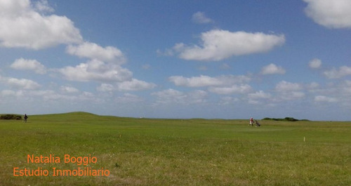 Imagen 5 de 12 de Lote N° 167 Emprendimiento Cardon Links