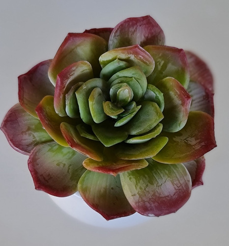 Variedad Suculenta Artificial Con Maceta Mini De Cerámica