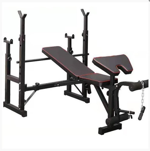 Banco Para Pesas De Doble Rack Y Predicador Mini Gym 