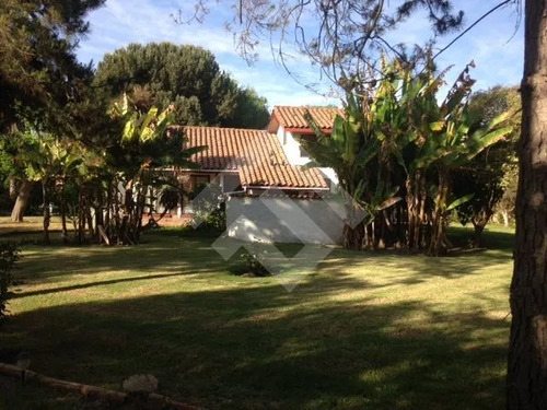 Parcela Con Casa 3d 2b Piscina Terraza Arriendo En Talagante