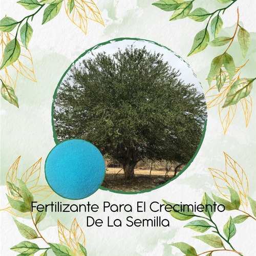 Fertilizante Para El Crecimiento De Árbol Gallinero