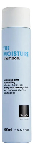 Br&co The Moisture Shampoo Hidratante 300ml Seco Cabelo