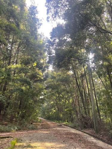 Terrenos En Venta Lo Pequen, Alto Concepción