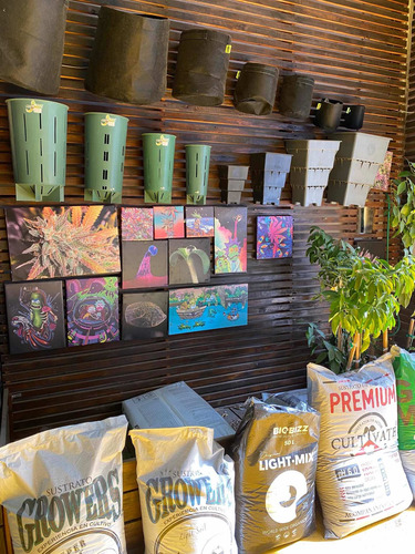 Venta Fondo De Comercio Growshop Tigre Inversion