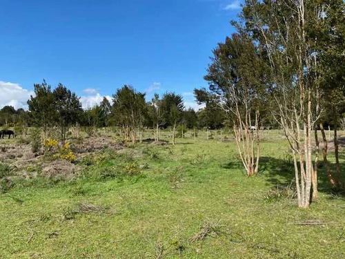 Venta Parcela En Puelo. (75308)