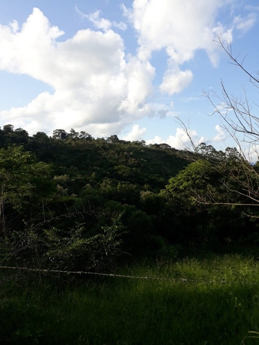 Imagem 8 de 9 de Duas Fazendas 20.000m2 Cada. Caeté A 50km De Bh