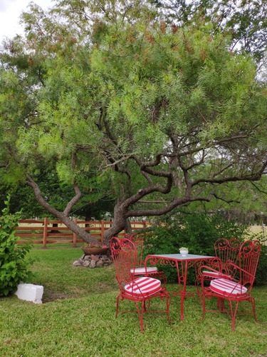 Imagen 3 de 13 de Casa De Campo/rural Próximo A La Paloma