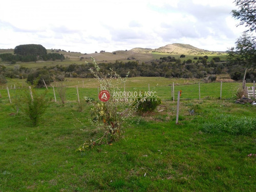 Campo Agricola Ganadero Sobre Ruta 13 A 5 Kilómetros De Aigua - Ref: 6562