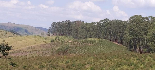 Imagem 4 de 14 de Terreno 1000m² A Venda Em Igaratá-sp Vista Para A Represa Er