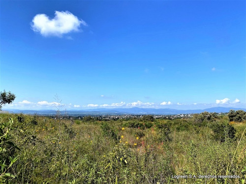 Imagen 3 de 5 de En Venta Terreno En Lomas De Cocoyoc Ubicado En Nueva Sección