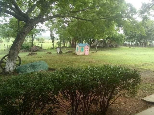 Imagen 10 de 23 de Venta De Finca Edo. Guarico, Pao Los Dos Caminos 1082 Hectáreas