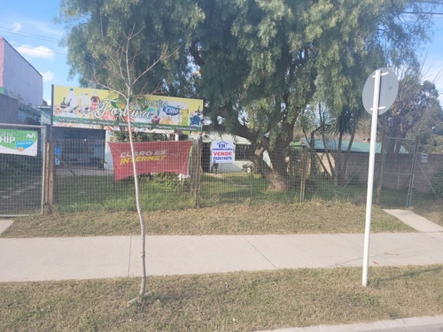 Imagen 5 de 7 de Cibils Gran Terreno Con 4 A 5 Propiedades
