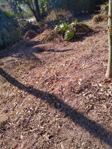 Imagem 6 de 27 de Terreno À Venda, 1097 M² Por R$ 213.000 - Aralú - Santa Isabel/sp - Te0928