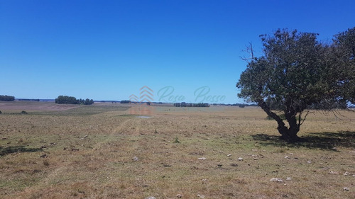 Imagen 6 de 7 de Chacra En Zona Rural - Zona Rural. - Zona Rural Zona Rural