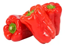 Comprar Cajon De Morrones Morron Rojo 10kg Cocina Verduras Frutas 