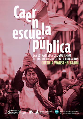 Caer En La Escuela Publica, De Cinthia Wanschelbaum. Editorial Ediciones Luxemburg, Tapa Blanda En Español, 2024