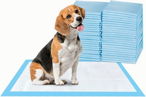 Pañal Almohadillas De Entrenamiento Para Perros Y Gatos 50pz