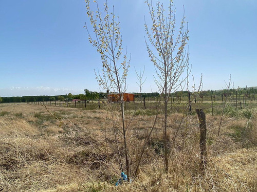 Venta | Terreno | Vista Flores | Tunuyán | Valle De Uco | 2.178 M2