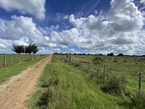 Venta Chacra 10 Hectáreas Ruta 104 Manantiales