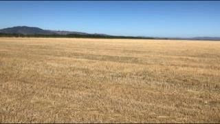 Agrícola En Venta En Cauquenes