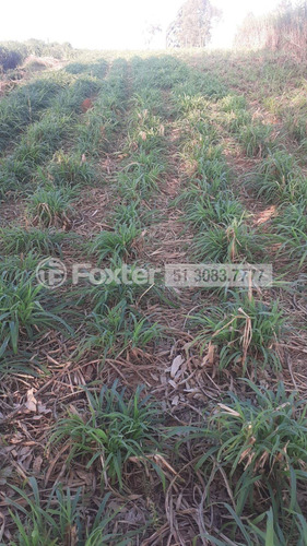 Imagem 14 de 15 de Fazenda / Sítio / Chácara, 2 Dormitórios, 504 M², Sítio São José - 218392