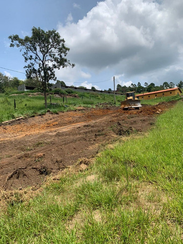 Imagem 19 de 26 de Tm- Vendo Lote Barato Tratar Direto Com Proprietário