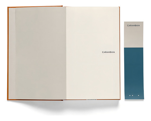 Mecanismos internos: Textos sobre literatura (2000-2005), de Coetzee, J. M.. Selo Ilimitada Editorial Editora Carambaia EIRELI, capa dura em português, 2020