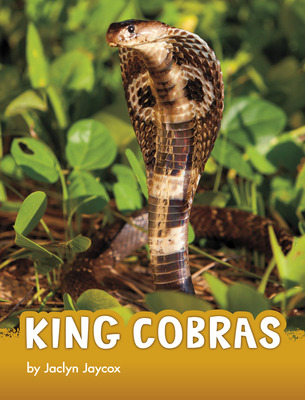 Libro King Cobras - Jaycox, Jaclyn