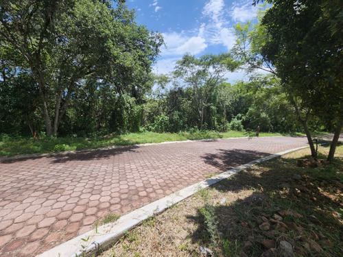 Venta Lote San Diego 54 Mz Xvi Muy Cerca De La Entrada Y De Las Amenidades Del Fracc Rancho San Diego Ixtapan De La Sal Edomex