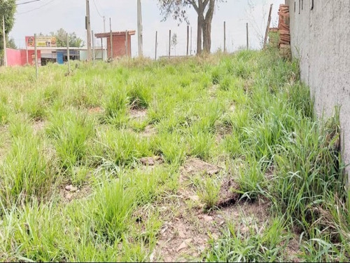 Imagem 4 de 7 de Terreno - Te00140 - 69302923