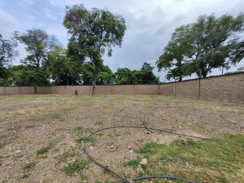 Lote En Venta En Bocono. Cod V30089