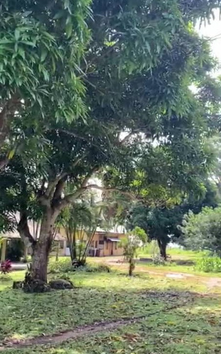 Imagen 5 de 17 de Se Vende Finca En Caicarita Estado Monagas Ve02-1095mced-mtru