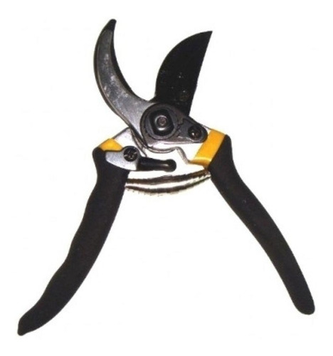 Tesoura De Poda 8 Profissional 6dw Eda