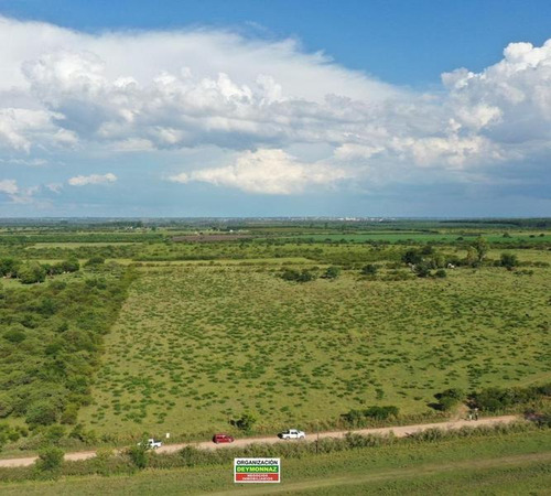 Imagen 5 de 12 de Lotes Rurales De 3,5 Has Cada Una En Ejido Colón
