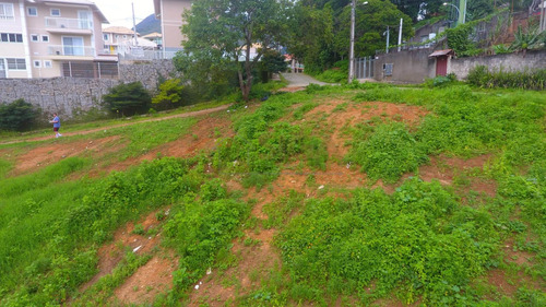 Imagem 11 de 15 de Lotes Exclusivos No Cônego - Lote 01 - 245