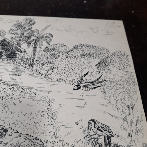 Imagem 6 de 6 de Desenho Nanquim Bico De Pena Datado 1953 Antigo Sem Moldura